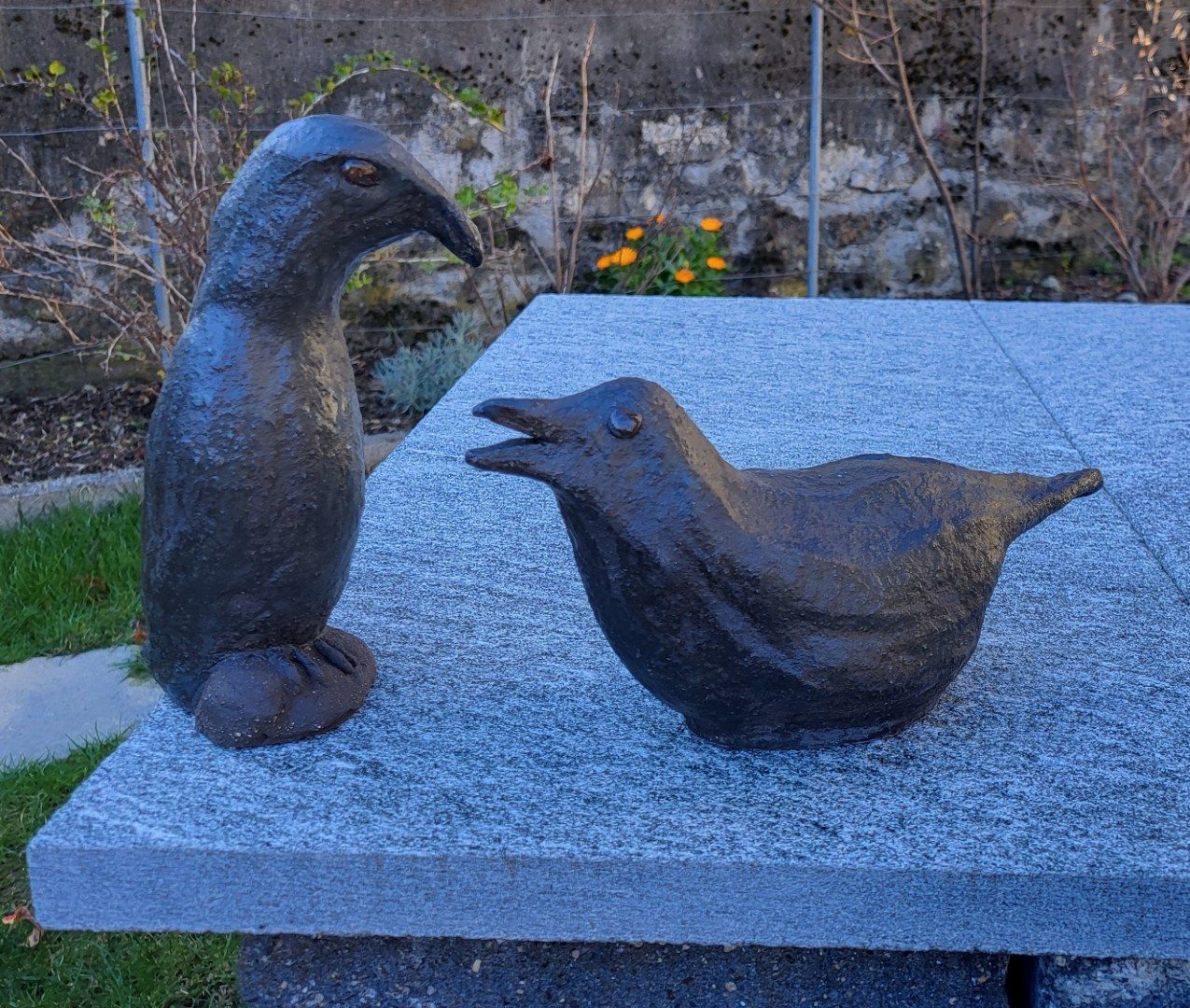 Krähe oder Rabenvogel